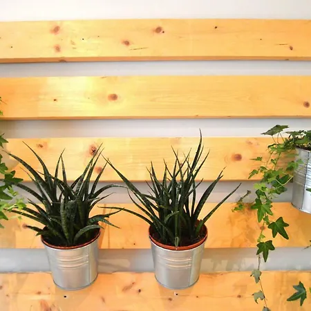 Apartamento La Vina